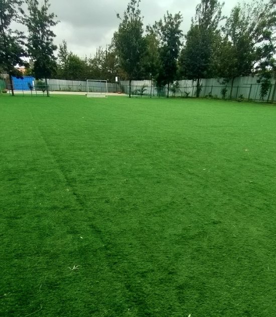 Field
